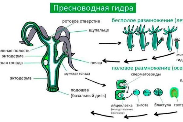 Кракен сайт зеркало рабочее
