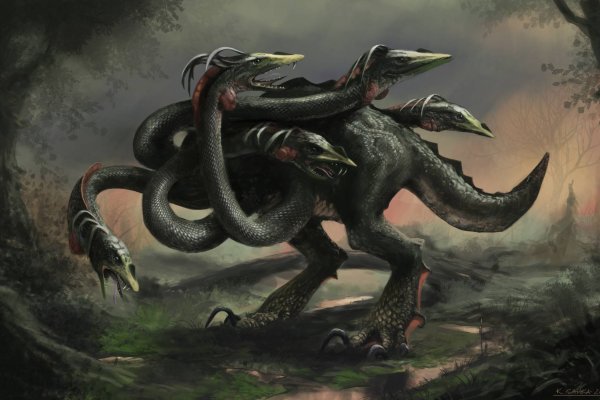 Kraken вход kraken torion