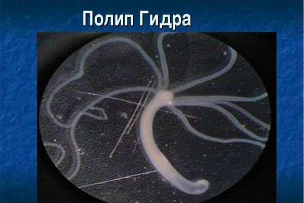 Ссылки для даркнета