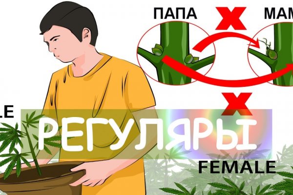Кракен 15 ссылка