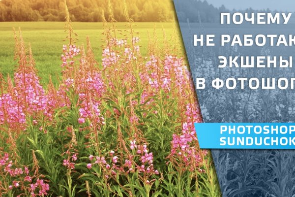 Гидра зайти кракен