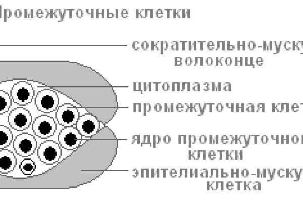 Kraken darknet marketplace