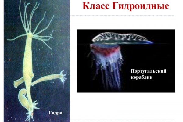Кракен тор gigageek ru