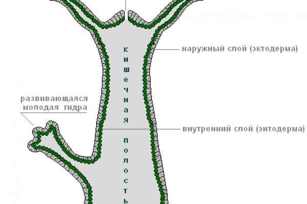 Кракен даркнет только через стор
