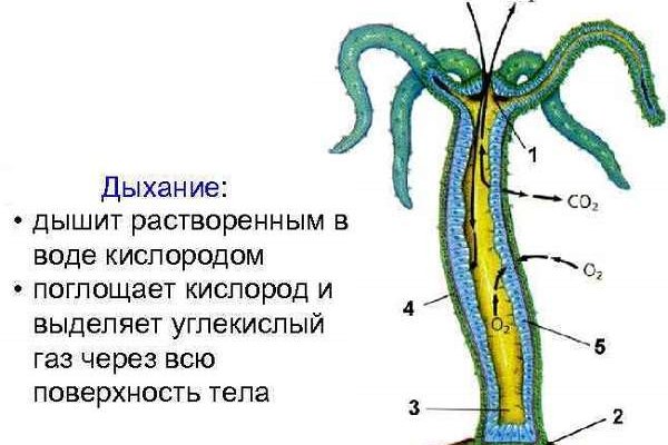 Сайты продаж наркотиков